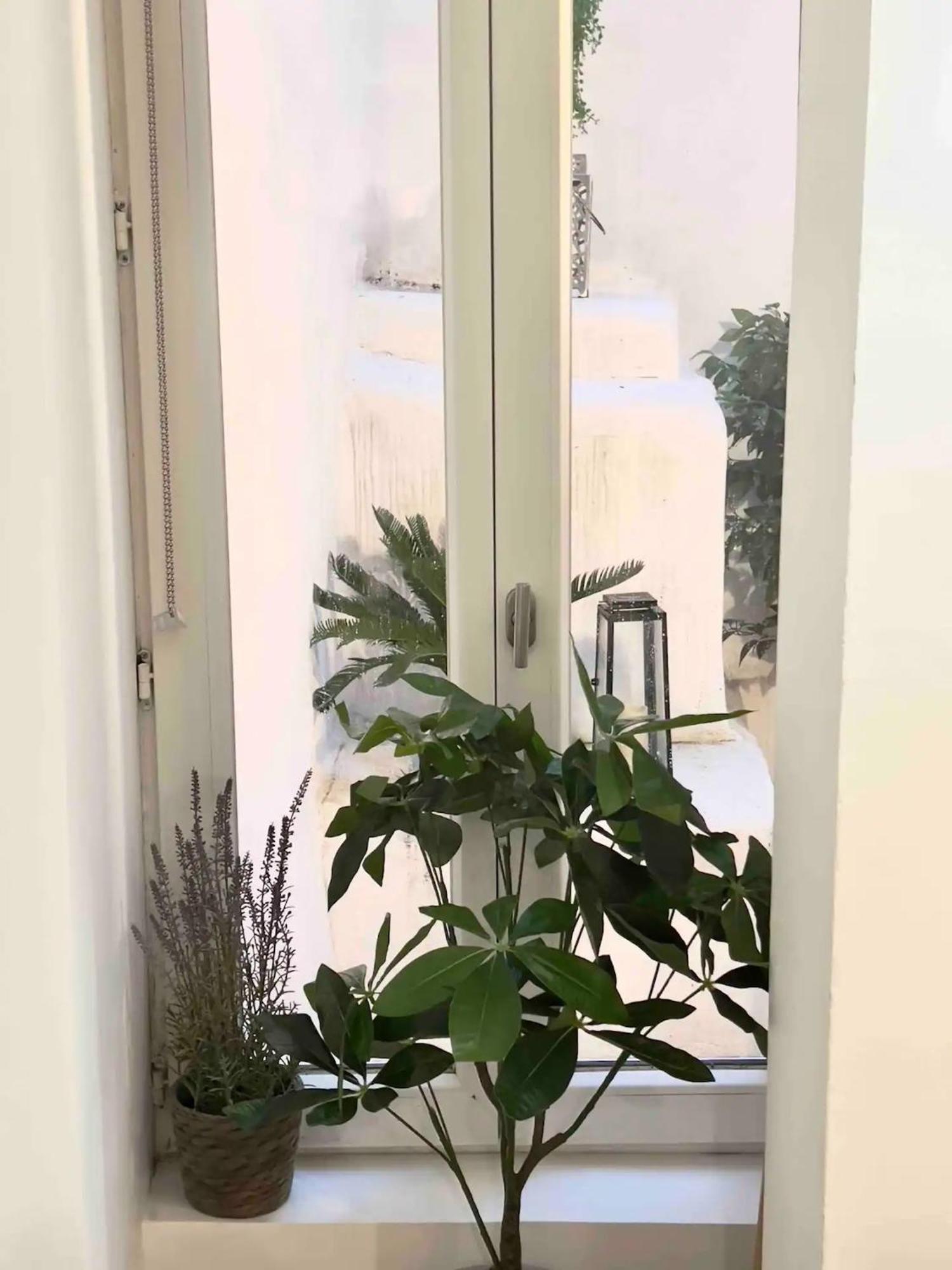 Le Petit Patio *